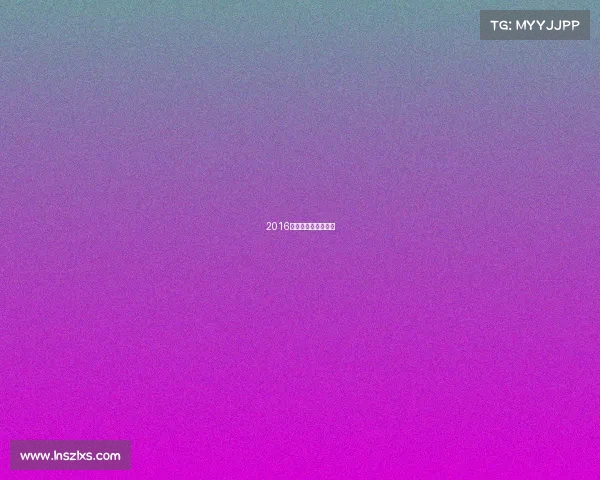 2016上海马拉松赛事时间